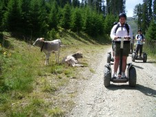 Autriche : Segway Tour a Innsbruck