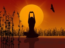 Massage Abhyanga à 4 mains - Ille-et-vilaine (35) Ille-et-Vilaine (35)
