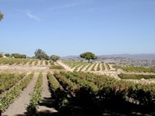 Séjour les Grands Vins de Bordeaux pour deux - Gironde (33)