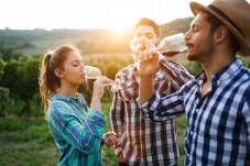 Gastronomie et Oenologie - Beauvois - Séjour romantique - Indre-et-Loire (37) Indre-et-Loire (37)
