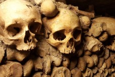Crânes des catacombes 