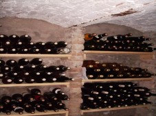 Stage découverte : Cultiver son vin -  Gironde (33) Gironde (33)