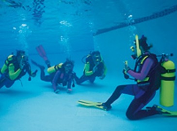 Faire de la plongée sous-marine en été