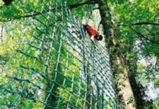 Parcours-accrobranches