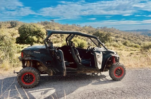 Buggy 4 places