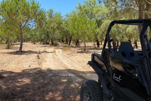 1 Buggy pour 2 personnes
