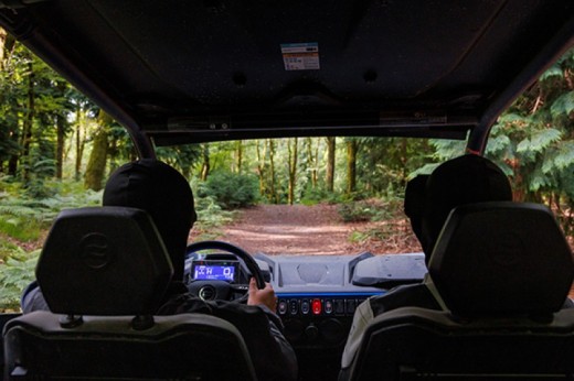 Buggy 2 places