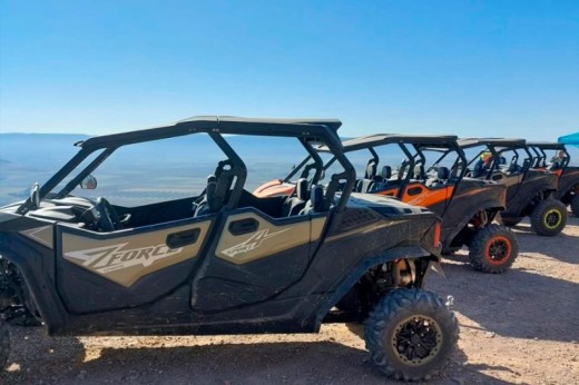 Buggy 4 Plazas