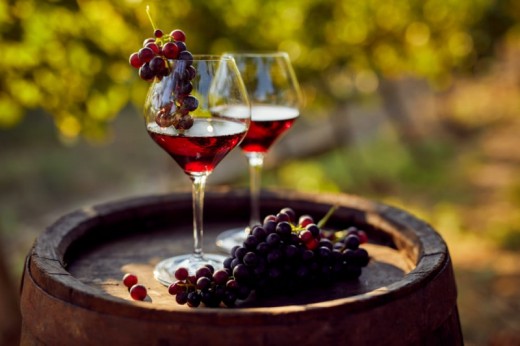 Visite de la cave Ceretto avec dégustation de Barolo