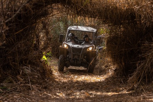 Cross Country (1h30) | Buggy 4 places