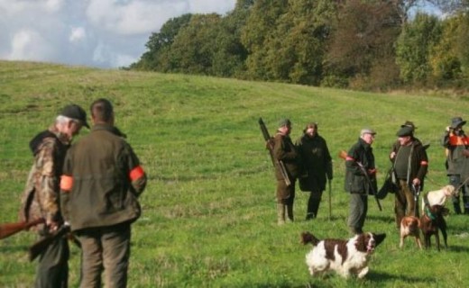 Chasse en Battue au bois - Nord (59)