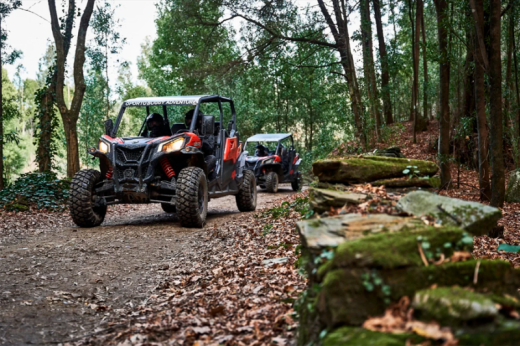 Buggy 2 places