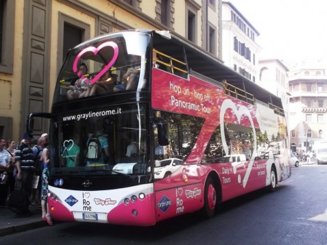 Rome bus tour (24 hours)