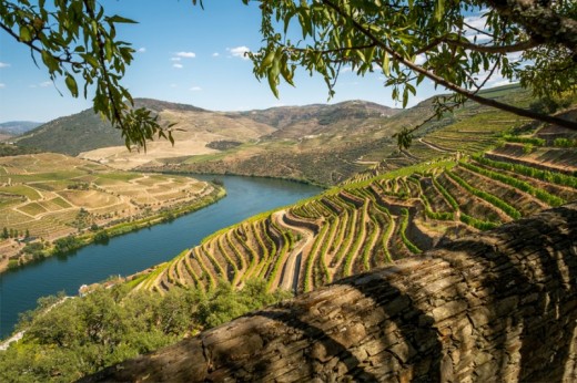 Tour guidé road trip dans la vallée du Douro - 2 Personnes