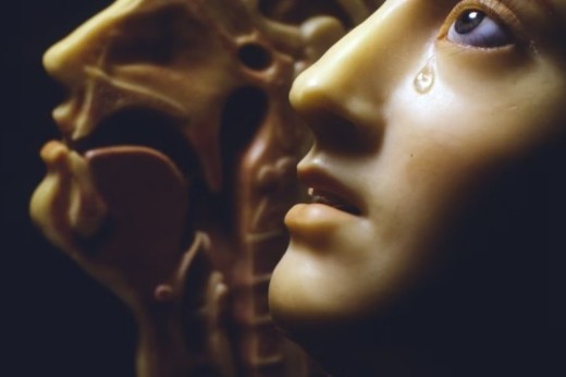 Exposition d'une larme au Musée de l'Homme