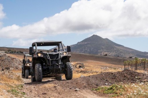 Buggy 4 places