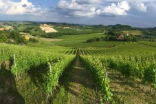 Visite de la cave Ceretto avec dégustation de Barolo