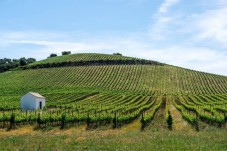 Immersion à la Herdade do Rocim avec déjeuner alentejano pour 2