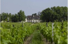 Château Bouscaut - Gironde (33)