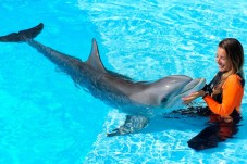 Dolphin Emotions Encounters | Zoomarine – Interaction avec des Dauphins en Algarve