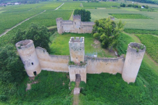 Vol châteaux de l'entre deux mers - 1 heure - Gironde (33)