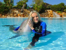 Swim with Dolphins in Portugal