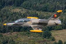 L 39 Albatros - Republique Tchèque