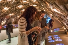 Visite immersive des Caves du Louvre - Le vin Français - Paris (75)