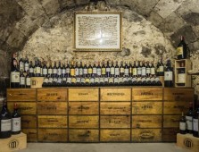Visite et dégustation à Feudi di San Gregorio