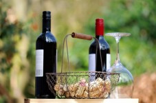 Visite de la cave Ceretto avec dégustation de Barolo