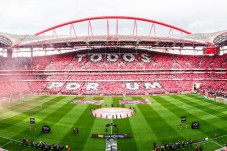 Pack SLB - Stade et Musée + Écharpes + Bon Gourmet pour 2 personnes