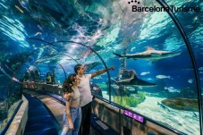 Aquarium of Barcelona - adult 