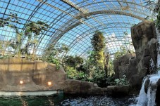 Serre Tropicale du Parc 
