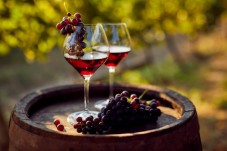 Visite de la cave Ceretto avec dégustation de Barolo