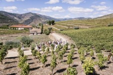 Visite de la Quinta da Roêda et Dégustation de Vins pour 2 personnes
