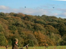 Chasse en Battue au bois - Nord (59)