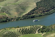 Croisière panoramique sur le Douro avec déjeuner