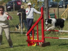 Renforcer les liens avec votre chien - 2h00 - Eure (27)