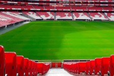 Pack SLB - Stade & Musée + une écharpe - 1 ticket pour la visite du Musée Benfica Cosme Damião