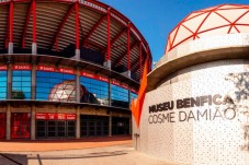 Pack SLB - Stade & Musée + une écharpe - 1 ticket pour la visite du Musée Benfica Cosme Damião