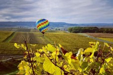 Vol en montgolfière - Marne (51)