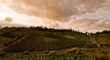 Immersion à la Herdade do Rocim avec déjeuner alentejano pour 2