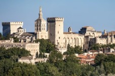 Visite du Palais des Papes et du Pont d'Avignon - (84)
