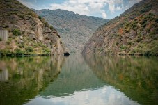 Croisière panoramique sur le Douro avec déjeuner
