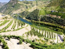 Croisière du Douro à Regua