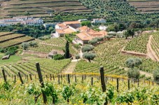 Visite de la Quinta da Roêda et Dégustation de Vins pour 2 personnes