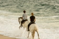 Balade à cheval en bord de mer à Setúbal pour 2