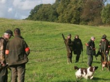 Chasse en Battue au bois - Nord (59)