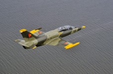 Piloter un avion (L-39 Albatros) en Allemagne