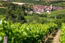 Visitez la Bourgogne 
